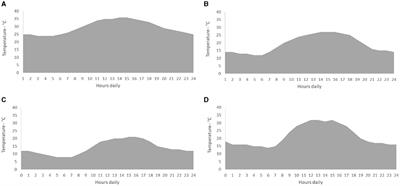 Microbial landscape of cooked meat products: evaluating quality and safety in vacuum-packaged sausages using culture-dependent and culture-independent methods over 1 year in a sustainable food chain